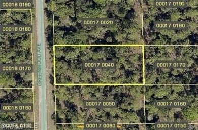 Lehigh Acres Area Lot For Sale in Lehigh Acres Florida