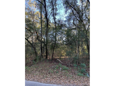 Lake Pontchartrain Lot For Sale in Lacombe Louisiana