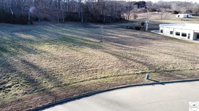 Lake of the Ozarks Commercial For Sale in Warsaw Missouri