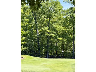 Ready for 2026 golf season! Overlooking the 10th fairway of the - photo 45