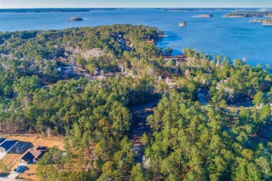 Lake Sam Rayburn  Lot For Sale in Brookeland Texas