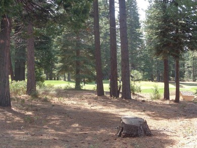 Exceptional golf course parcel in Bailey Creek, home to the - photo 11