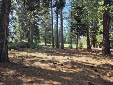 Exceptional golf course parcel in Bailey Creek, home to the - photo 13