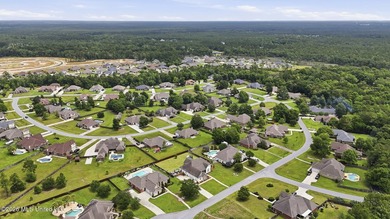 Located in the sought-after Palmetto Pointe community and within - photo 39