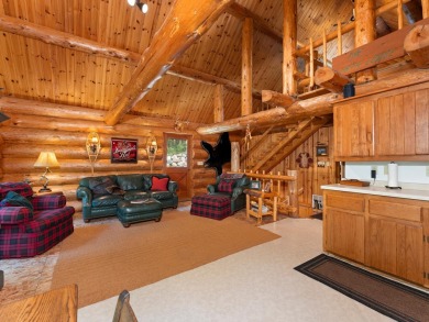Full-Log Home on Arbutus Lake - Lake Home Sale Pending in Eagle River, Wisconsin
