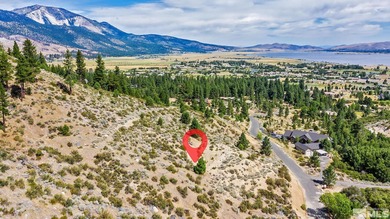 Washoe Lake Acreage For Sale in Washoe Valley Nevada