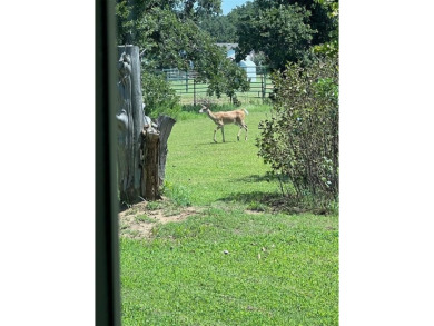 This remodeled 1640 square foot home on ten acres in the Luther