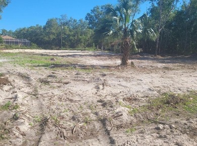 Lehigh Acres Area Lot For Sale in Lehigh Acres Florida