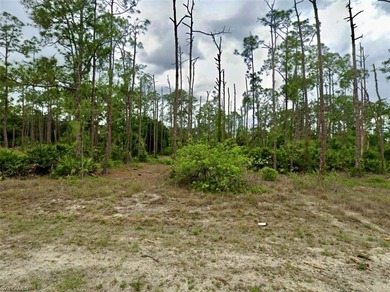 Lehigh Acres Area Lot For Sale in Lehigh Acres Florida