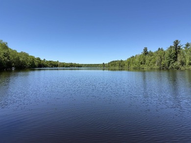 North Fork Flambeau River Lot For Sale in Park Falls Wisconsin