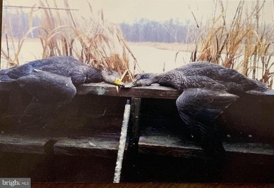 ONCE IN A LIFETIME BIG BUCK FARM PLUS GEESE, WOOD DUCKS AND - photo 11
