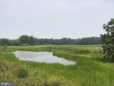 ONCE IN A LIFETIME BIG BUCK FARM PLUS GEESE, WOOD DUCKS AND - photo 14