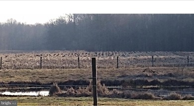 ONCE IN A LIFETIME BIG BUCK FARM PLUS GEESE, WOOD DUCKS AND - photo 17