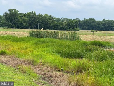 ONCE IN A LIFETIME BIG BUCK FARM PLUS GEESE, WOOD DUCKS AND - photo 19