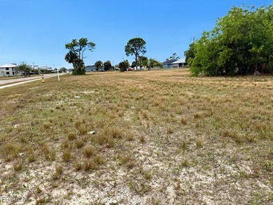 Cape Coral Area Commercial For Sale in Cape Coral Florida