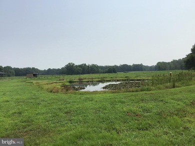 ONCE IN A LIFETIME BIG BUCK FARM PLUS GEESE, WOOD DUCKS AND - photo 23