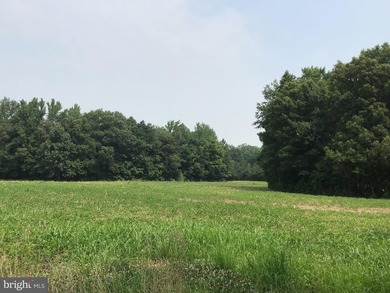 ONCE IN A LIFETIME BIG BUCK FARM PLUS GEESE, WOOD DUCKS AND - photo 31