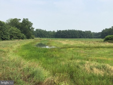 ONCE IN A LIFETIME BIG BUCK FARM PLUS GEESE, WOOD DUCKS AND - photo 32