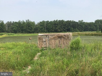 ONCE IN A LIFETIME BIG BUCK FARM PLUS GEESE, WOOD DUCKS AND - photo 33