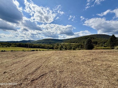 Rose Valley Lake Acreage For Sale in Trout Run Pennsylvania