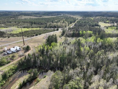A premier riverfront parcel on the Eau Claire River spanning 5 - photo 9