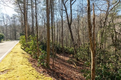 Located along a serene stretch of the Horsepasture River, this - photo 4