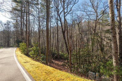 Located along a serene stretch of the Horsepasture River, this - photo 5