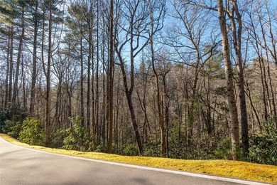 Located along a serene stretch of the Horsepasture River, this - photo 6