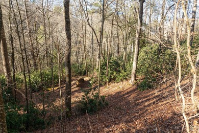 Located along a serene stretch of the Horsepasture River, this - photo 7