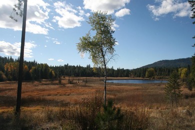 53.21 Acres. This ultra secluded parcel has it's own 5+ acre - photo 11