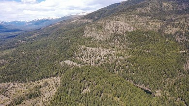 Trophy property offering 160 acres of private, timbered Montana - photo 12