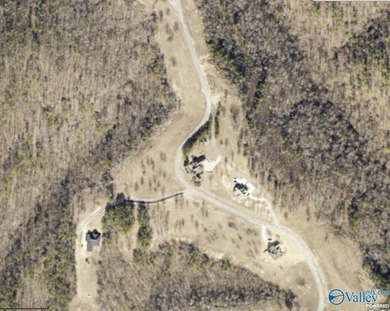 Lots 48 and 49 are offered for $124,000. Enjoy extravagant views - photo 13