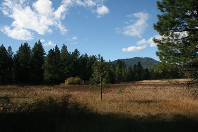53.21 Acres. This ultra secluded parcel has it's own 5+ acre - photo 13