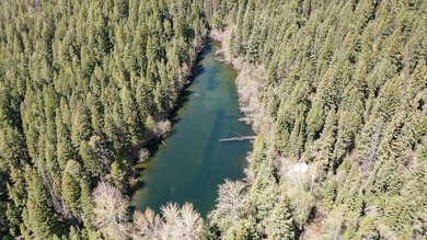 Trophy property offering 160 acres of private, timbered Montana - photo 14