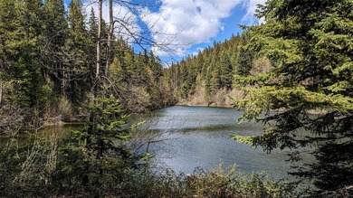 Trophy property offering 160 acres of private, timbered Montana - photo 15