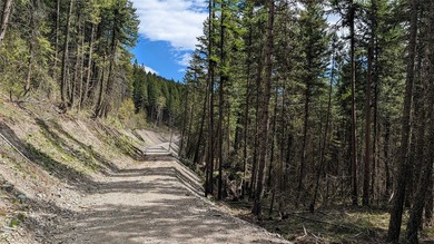 Trophy property offering 160 acres of private, timbered Montana - photo 17