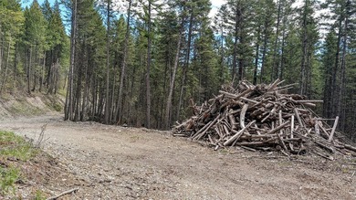 Trophy property offering 160 acres of private, timbered Montana - photo 19