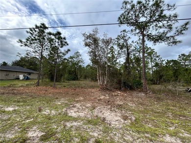 Lehigh Acres Area Lot For Sale in Lehigh Acres Florida