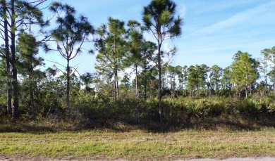 Port Charlotte Waterway Lakes Area Lot For Sale in Port Charlotte Florida