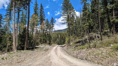 Trophy property offering 160 acres of private, timbered Montana - photo 21