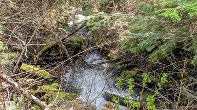 Trophy property offering 160 acres of private, timbered Montana - photo 23