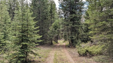 Trophy property offering 160 acres of private, timbered Montana - photo 24