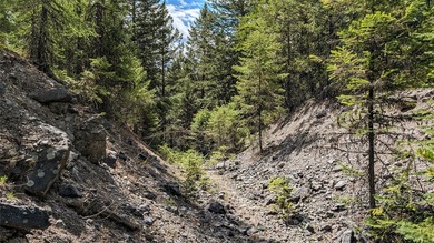 Trophy property offering 160 acres of private, timbered Montana - photo 25