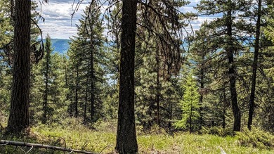 Trophy property offering 160 acres of private, timbered Montana - photo 26