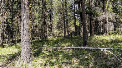 Trophy property offering 160 acres of private, timbered Montana - photo 28