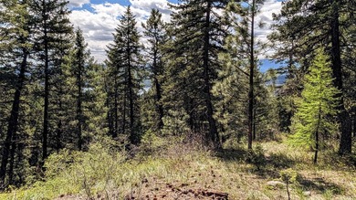Trophy property offering 160 acres of private, timbered Montana - photo 29