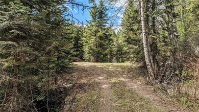 Trophy property offering 160 acres of private, timbered Montana - photo 30