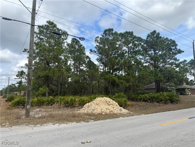 Lehigh Acres Area Lot For Sale in Lehigh Acres Florida