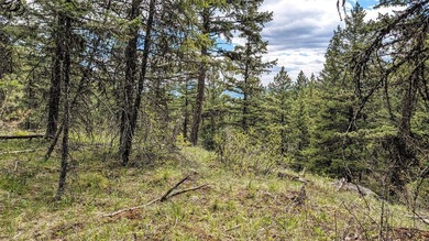 Trophy property offering 160 acres of private, timbered Montana - photo 31