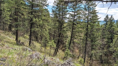 Trophy property offering 160 acres of private, timbered Montana - photo 32